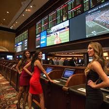 vf339